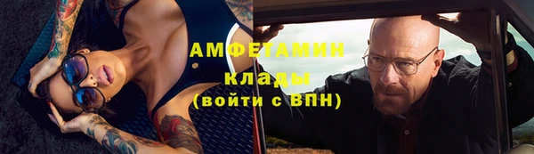 шишки Волоколамск
