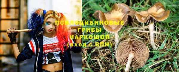 прущий лед Вязьма