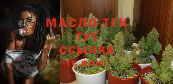 шишки Волоколамск