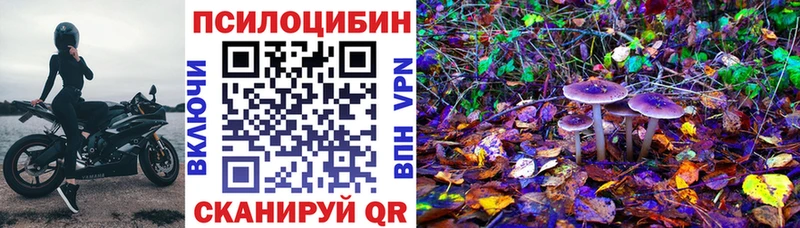 Псилоцибиновые грибы мухоморы купить сайты Тбилисская