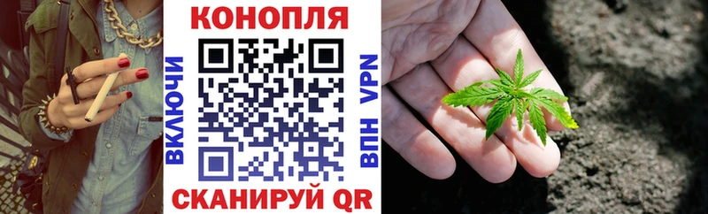 купить  сайты  Тбилисская  Каннабис индика 
